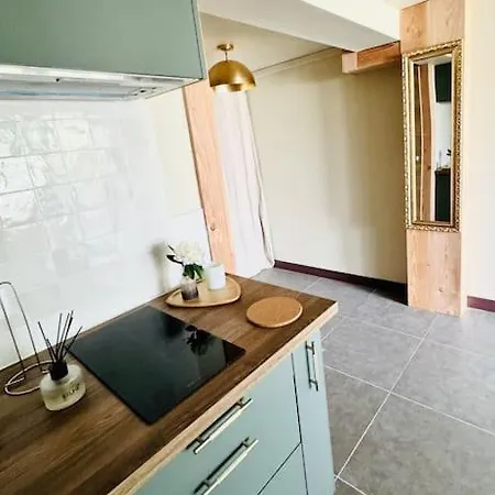 Mimosa - 500m De La Διαμέρισμα Lacanau