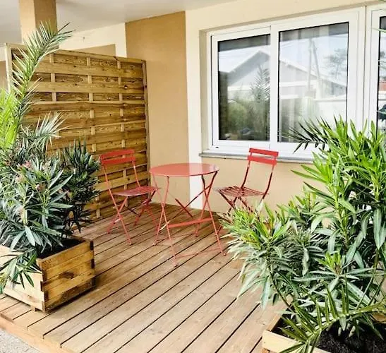 Mimosa - 500m De La *