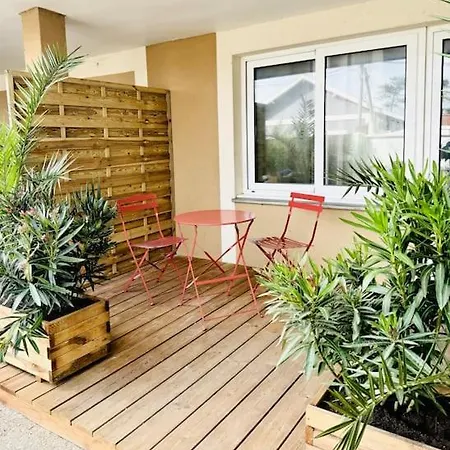 Mimosa - 500m De La *